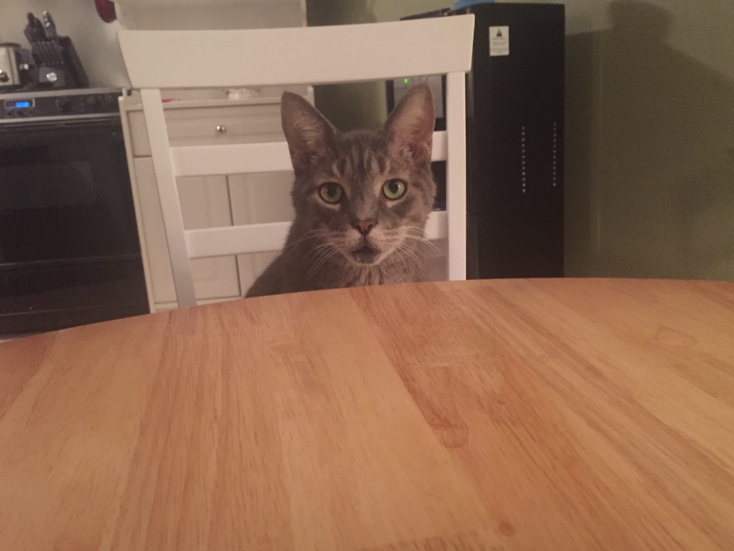 a tabby cat sitting at a round kitchen table like he's waiting to be served